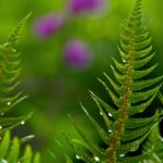 国产亚洲一本大道中文在线 47139mo