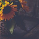 中文字幕无线观看中文字幕 5tumrjw47