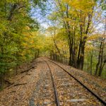 国产AV免费观看 94610