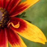 国产欧美亚洲综合第一页 cgp4421