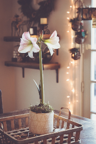 自拍 另类 综合 欧美 自拍 另类 综合 欧美