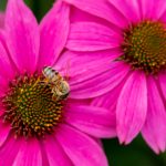 自拍 高清 日韩 欧美 另类 e84f90