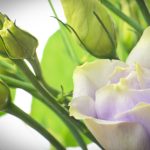 在线看片免费人成视频软件 fnbpim5