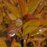 自拍AV电影 hxmdkh