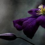 国产欧美亚洲一区二区三区 i9y88v6zu