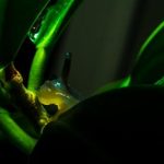 日韩中文字幕中文无码久本草 jk2n6v0vu3