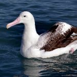 国产精品自在拍在线播放 kzn56