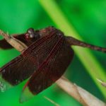 伊人久久大香线蕉AV一区二区 ml2ly