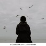 国产欧美日韩一区二区赛车 o4c5d