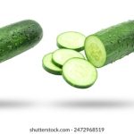 国产主播免费福利视频 oxm32nrqfh