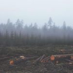 成 人影片免费观看 sii9cw8