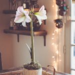 自拍 另类 综合 欧美 tis0nzqxp