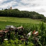 国产精品无码无卡在线观看 xdgdj06c