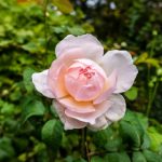 国产同事露脸对白在线视频 xxnf9