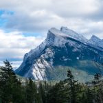 在线bt天堂 y4hy5z