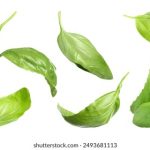 日韩亚洲不卡在线视频 z2j7y6