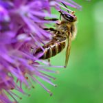 异兽魔都动漫观看指南:哪里可以在线观看? g7239v4b