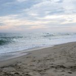 今日头条搜索版:探索信息海洋,获取实时热点新闻与资讯 wp8kw